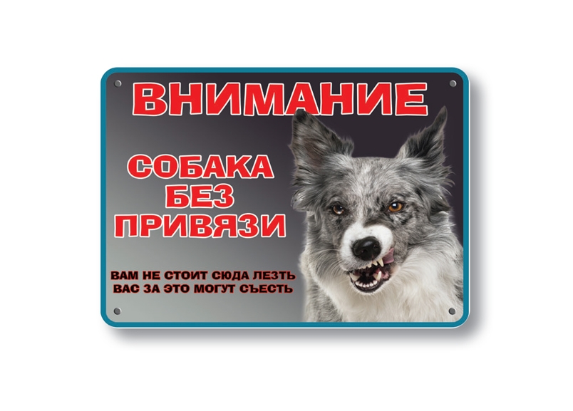 осторожно злая собака осторожно злая собака