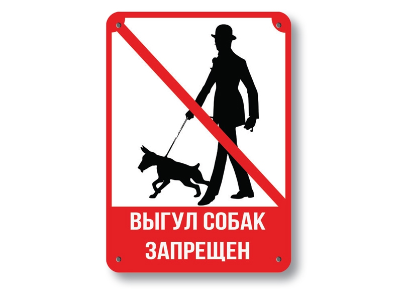 осторожно злая собака осторожно злая собака