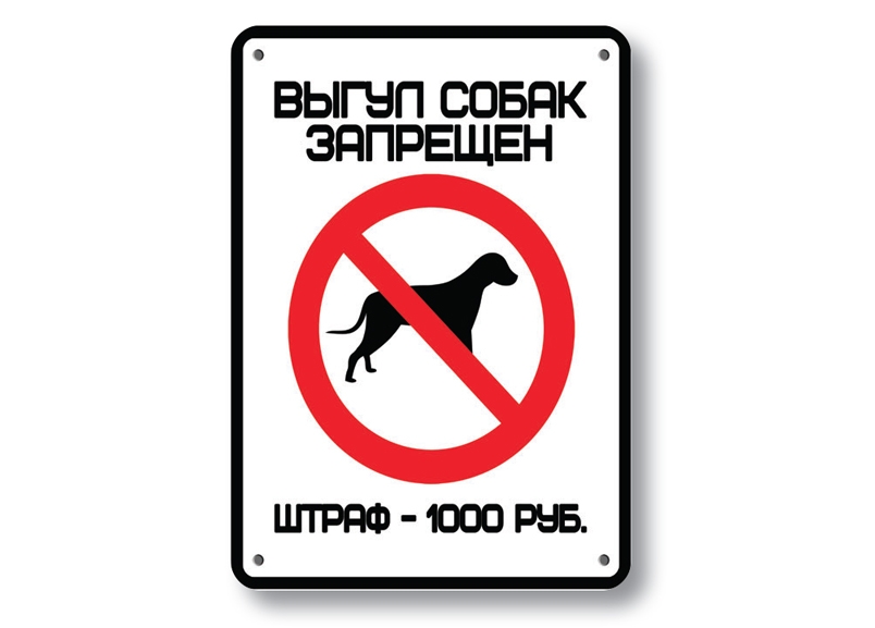 осторожно злая собака осторожно злая собака